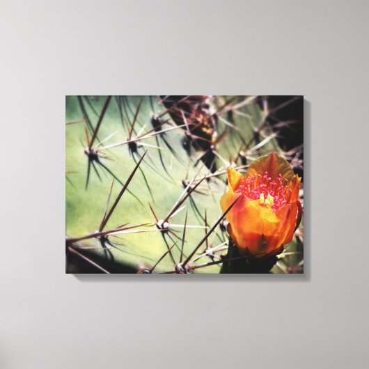 Cactus Flower Wrapped Canvas Afdruk (Voorkant)