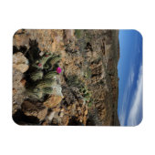 Cactus Flowering Magneet (Horizontaal)