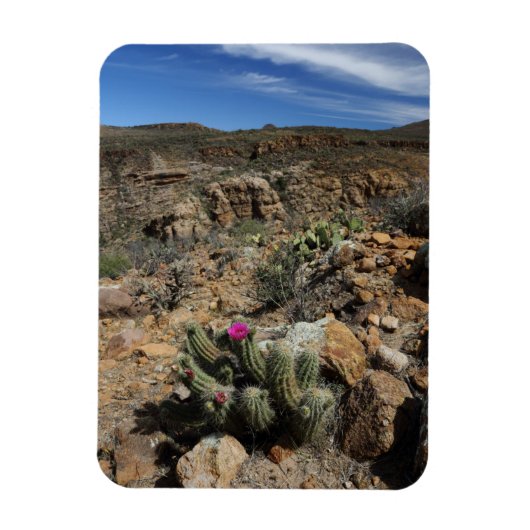Cactus Flowering Magneet (Verticaal)