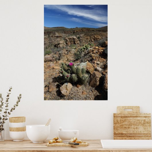 Cactus Flowering Poster (Keuken)