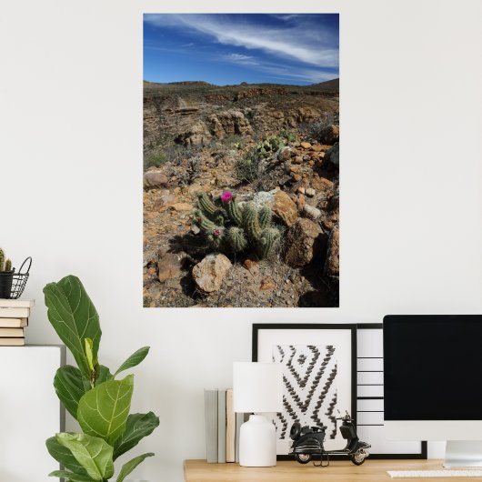 Cactus Flowering Poster (Thuiskantoor)