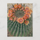 Cactus Flowers 002d Briefkaart (Voorkant)