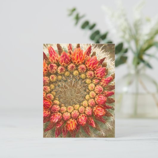 Cactus Flowers 016a Briefkaart (Staand voorkant)