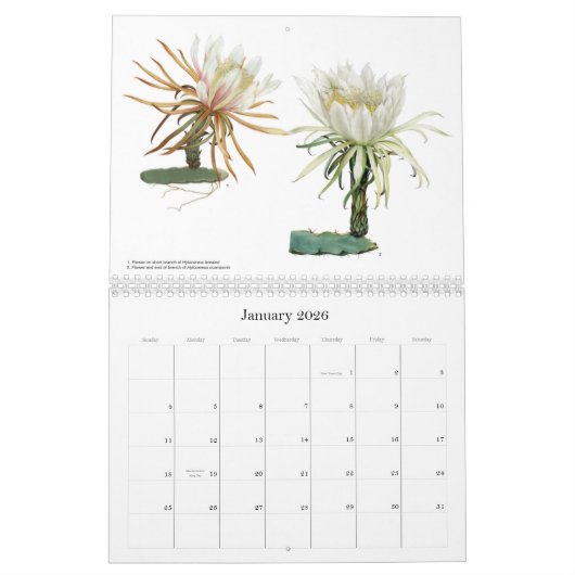Cactus Flowers Agenda Kalender (Jan 2026)