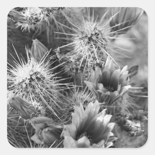 Cactus Flowers B&W Desert Custom Decal Stickers (Voorkant)