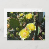 Cactus Flowers Briefkaart (Voorkant / Achterkant)