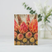 Cactus Flowers Briefkaart (Staand voorkant)