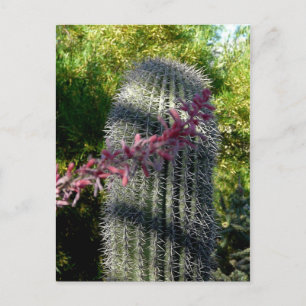 Cactus & Flowers Briefkaart