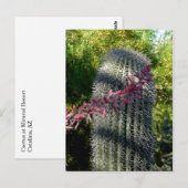 Cactus & Flowers Briefkaart (Voorkant / Achterkant)