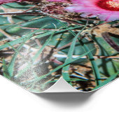 Cactus Flowers Foto Afdruk (Hoek)