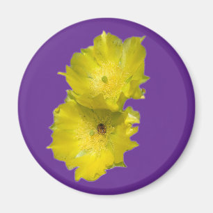 Cactus Flowers Magneet