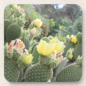 Cactus Flowers Onderzetters (Voorkant)