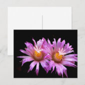 Cactus Flowers op Briefkaart (Voorkant / Achterkant)