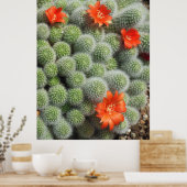 Cactus Flowers Poster (Keuken)