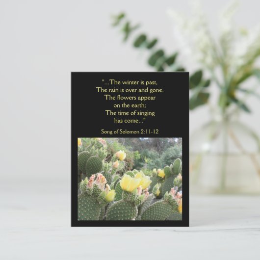 Cactus Flowers Song of Solomon Briefkaart (Staand voorkant)