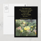 Cactus Flowers Song of Solomon Briefkaart (Voorkant / Achterkant)