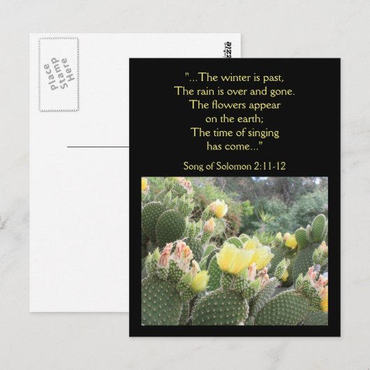 Cactus Flowers Song of Solomon Briefkaart (Voorkant / Achterkant)