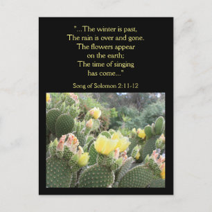 Cactus Flowers Song of Solomon Briefkaart