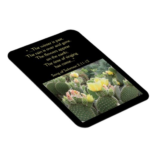 Cactus Flowers Song of Solomon Magnet Magneet (Rechterzijde)