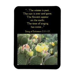 Cactus Flowers Song of Solomon Magnet Magneet