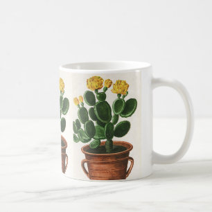 Cactus Flowers, Succulent Cacti-Planten Koffiemok