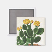  Cactus Flowers, Succulent Cacti-Planten Magneet (Voorkant / Achterkant)