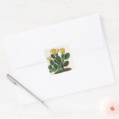  Cactus Flowers, Succulent Cacti-Planten Vierkante Sticker (Envelop)