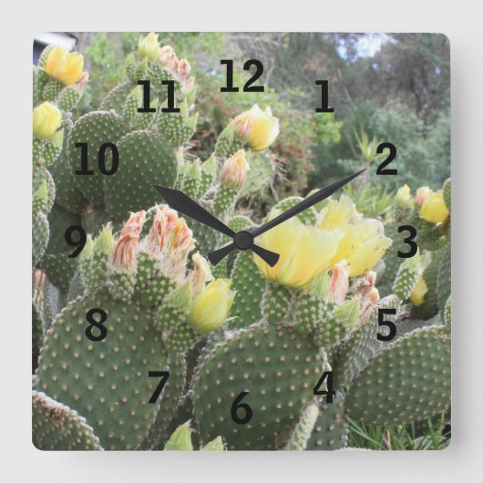Cactus Flowers Wall Clock Vierkante Klok (Voorkant)