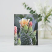 Cactus Flowers Yellow Pink Blooms Briefkaart (Staand voorkant)