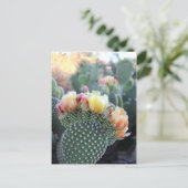 Cactus Flowers Yellow Pink Oranje Blooms Briefkaart (Staand voorkant)