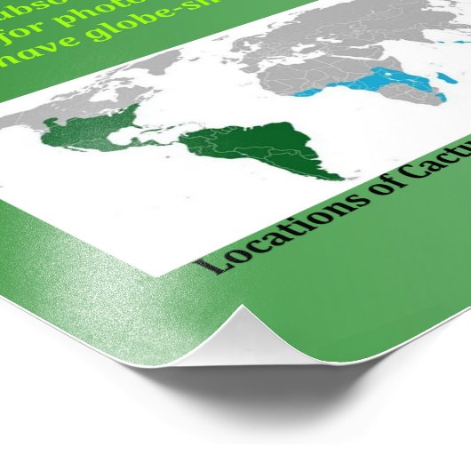 Cactus Foto Afdruk (Hoek)