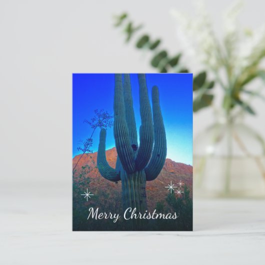 Cactus Foto Woestijn Zuidwesten Kerstmis Feestdagenkaart (Staand voorkant)