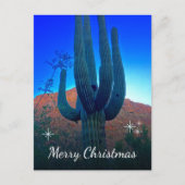Cactus Foto Woestijn Zuidwesten Kerstmis Feestdagenkaart (Voorkant)
