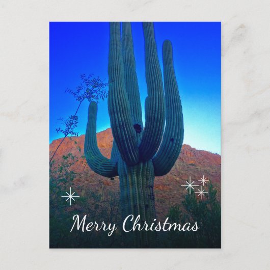 Cactus Foto Woestijn Zuidwesten Kerstmis Feestdagenkaart (Voorkant)