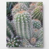 Cactus Fotoplaat (Voorkant)