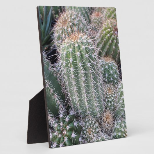Cactus Fotoplaat (Zijkant)
