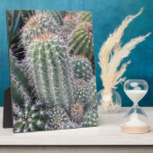 Cactus Fotoplaat (Zijkant)
