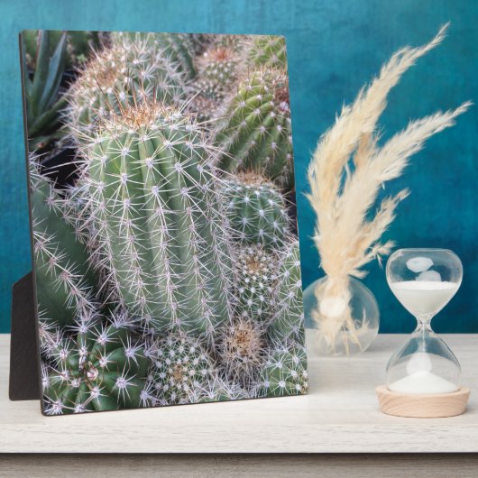 Cactus Fotoplaat (Zijkant)