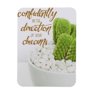 Cactus gaat vertrouwelijk magneet
