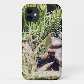 Cactus Garden iPhone 11 Hoesje