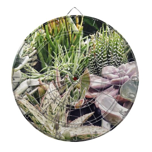 Cactus Garden Dartbord (Voorkant)