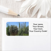 Cactus Garden Etiket (Insitu)