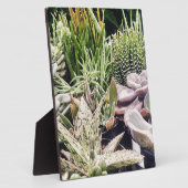 Cactus Garden Fotoplaat (Zijkant)