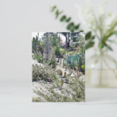 Cactus Garden in het park Balboa Briefkaart (Staand voorkant)