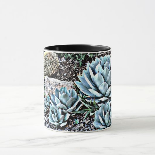 Cactus Garden in Orion-Mok Mok (Midden)