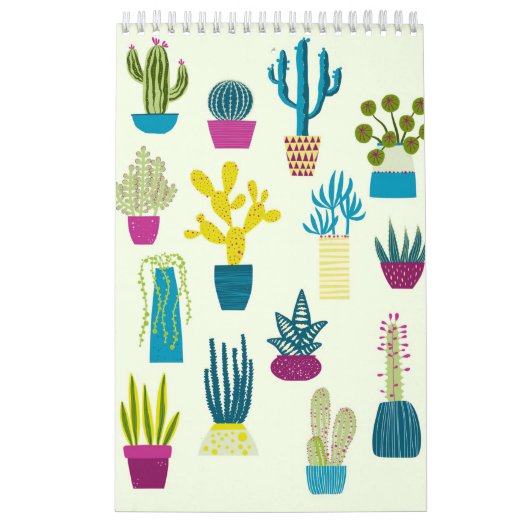 Cactus Garden Kalender (Hoes)