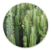 Cactus Garden Keramische Knop (Voorkant)