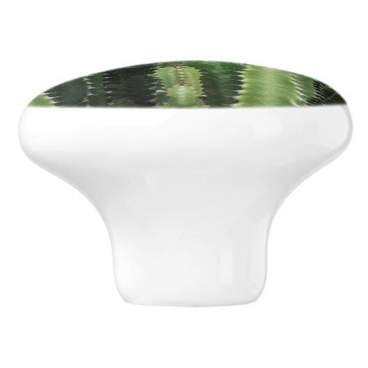 Cactus Garden Keramische Knop (Zijkant)