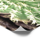 Cactus Garden Poster (Hoek)