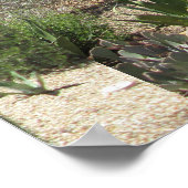 Cactus Garden Poster (Hoek)